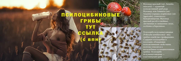 не бодяженный Баксан