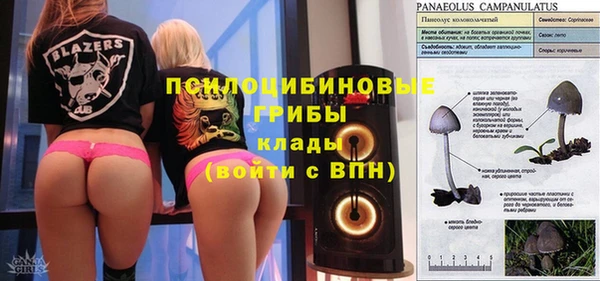 прущие грибы Арсеньев