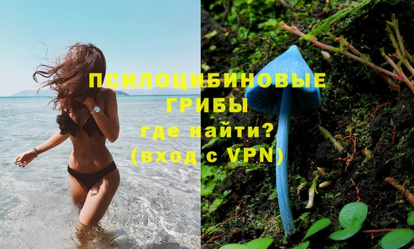мескалин Армянск