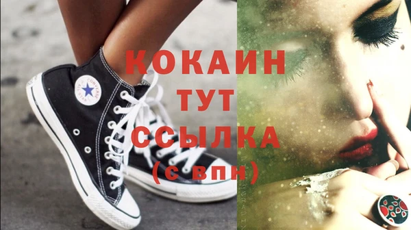 прущие грибы Арсеньев