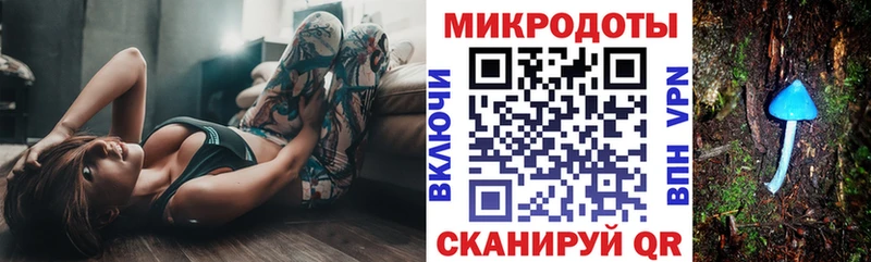 OMG вход  Североморск  Галлюциногенные грибы мицелий 