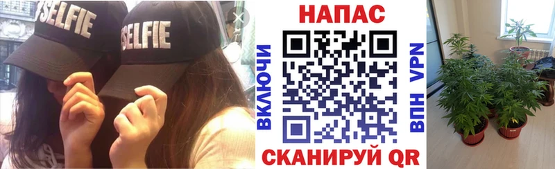 нарко площадка наркотические препараты  Североморск  Каннабис ГИДРОПОН 